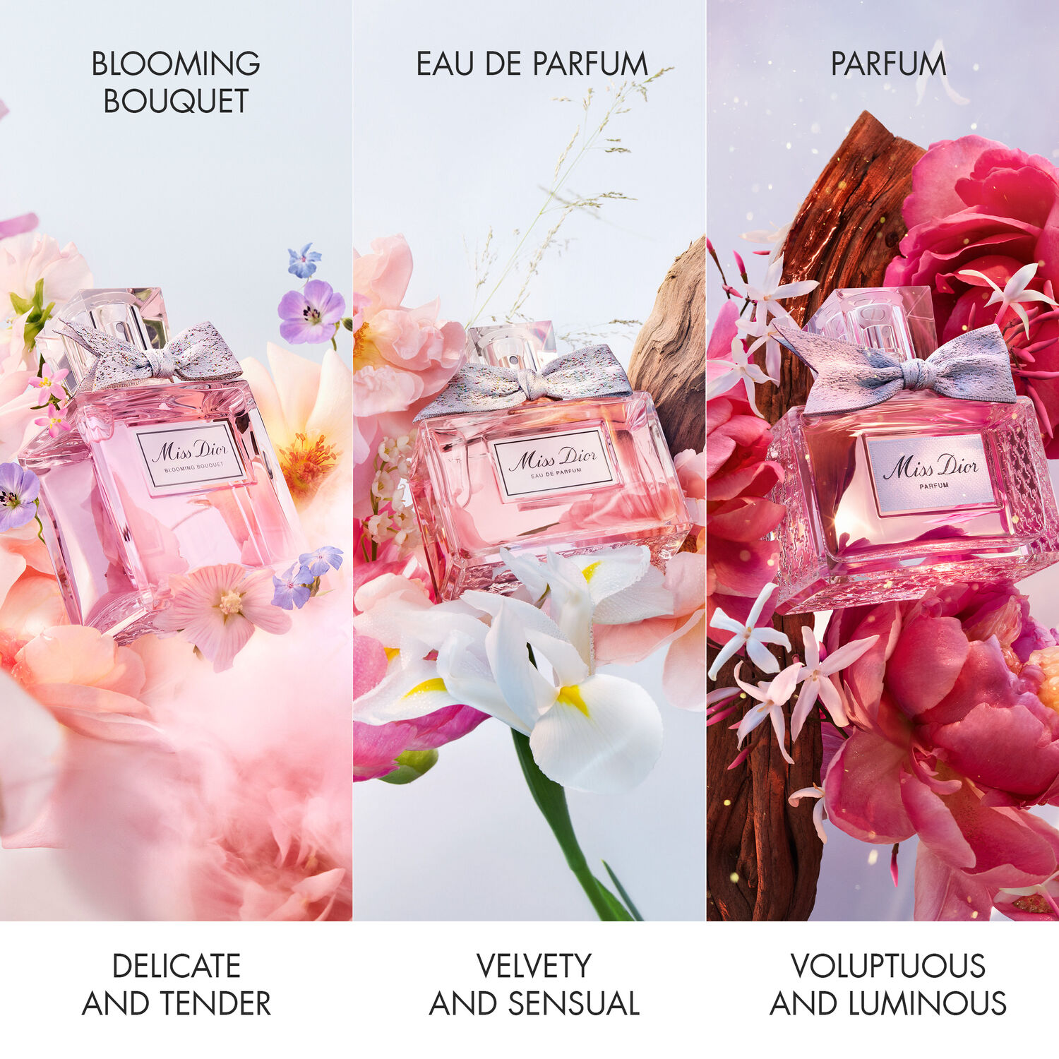 MISS DIOR PARFUM NOTAS FLORALES AFRUTADAS Y AMADERADAS INTENSAS